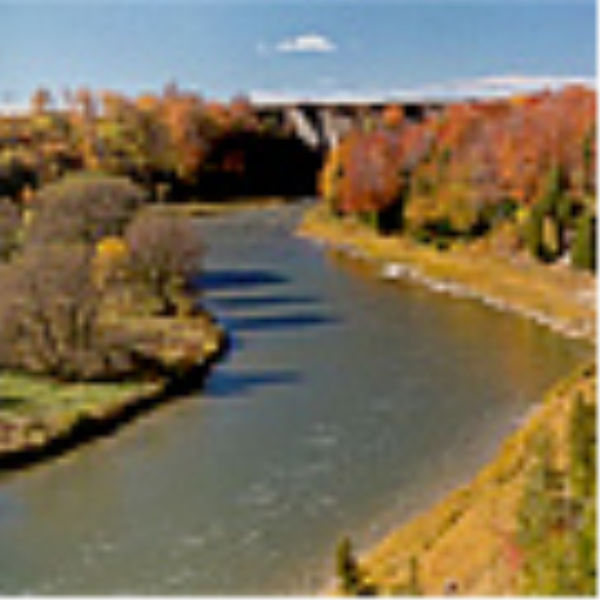 Saugeen Bluffs Conservation Area